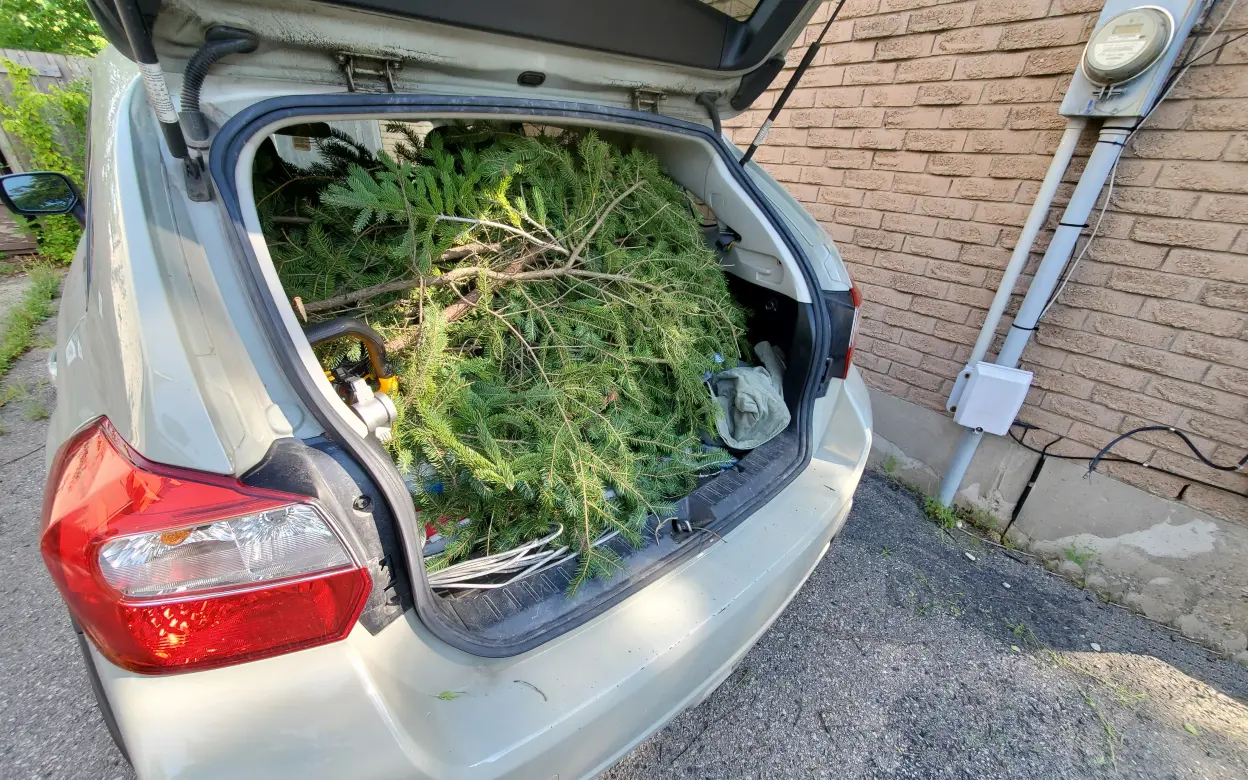 Grünschnitt im Kofferraum