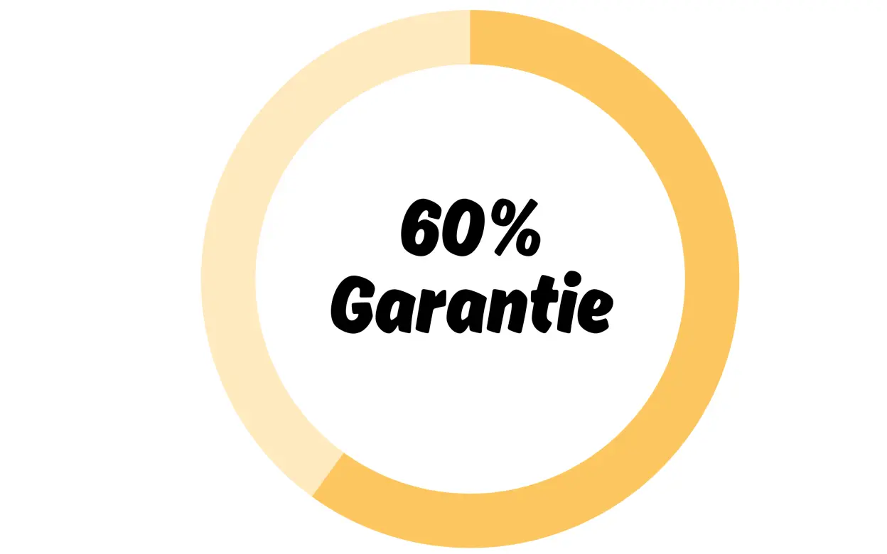Infografik Tortendiagramm 60 Prozent Fonds