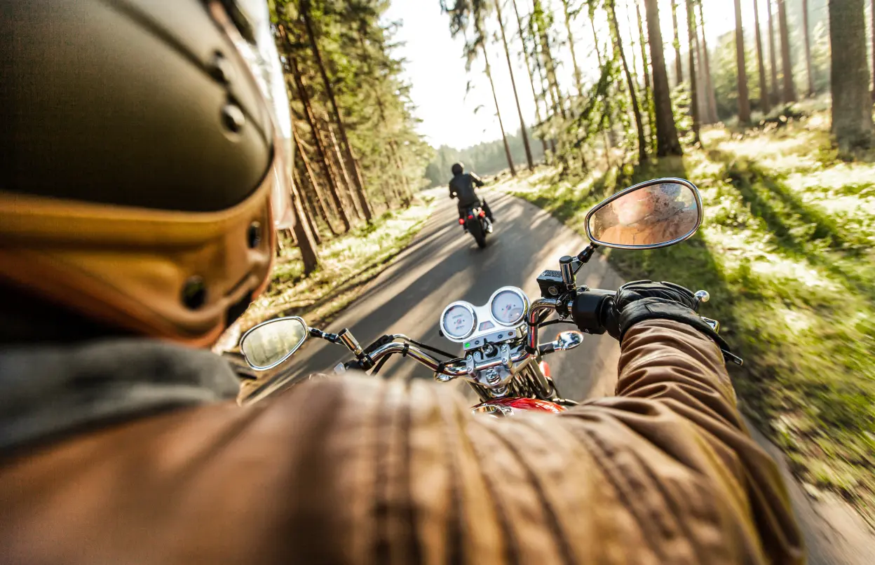 Zwei Motorradfahrer:innen fahren über eine Straße im Wald.