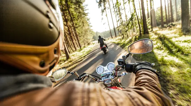 Zwei Motorradfahrer:innen fahren über eine Straße im Wald.